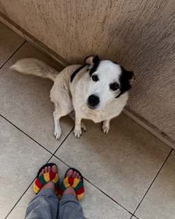 Giovanna Grigio feet photo thumbnail