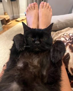 Giovanna Grigio feet photo thumbnail