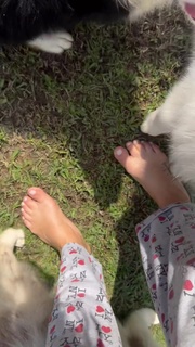 Giovanna Lancellotti feet photo thumbnail