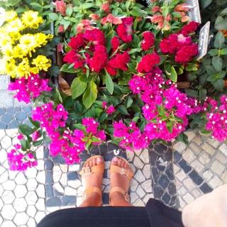 Gisela João feet photo 10