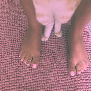 Gisela João feet photo 11