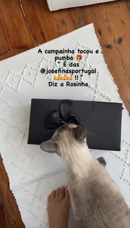 Gisela João feet photo 18