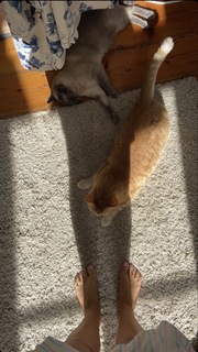 Gisela João feet photo 15