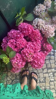 Gisela João feet photo 18