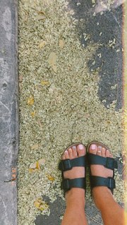 Gisela João feet photo 6