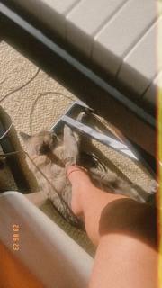 Gisela João feet photo 9