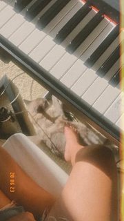 Gisela João feet photo 9