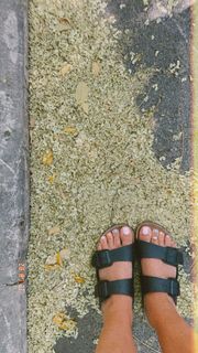 Gisela João feet photo 3