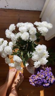 Gisela João feet photo 2
