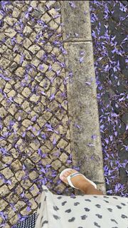 Gisela João feet photo 1