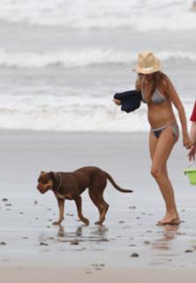 Gisele Bündchen feet photo thumbnail