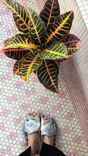 Giselle Batista feet photo 20