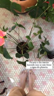 Giselle Batista feet photo 4