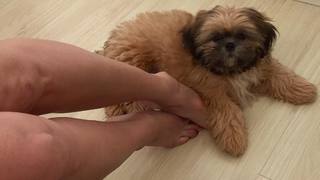 Giselle Itié feet photo thumbnail