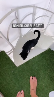 Giulia Buscacio feet photo thumbnail