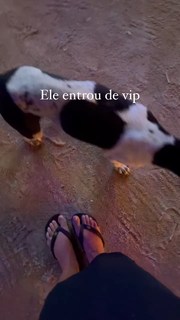 Giulia Buscacio feet photo thumbnail