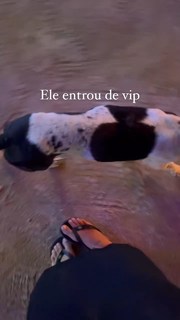 Giulia Buscacio feet photo thumbnail