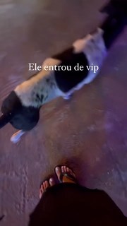 Giulia Buscacio feet photo thumbnail