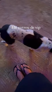 Giulia Buscacio feet photo thumbnail