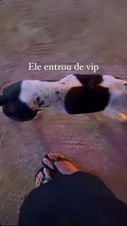 Giulia Buscacio feet photo thumbnail