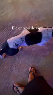 Giulia Buscacio feet photo thumbnail