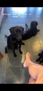 Giulia Calcaterra feet photo 16