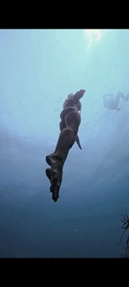 Giulia Calcaterra feet photo 7