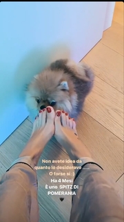 Giulia De Lellis feet photo thumbnail