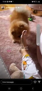 Giulia De Lellis feet photo thumbnail