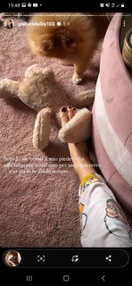 Giulia De Lellis feet photo thumbnail