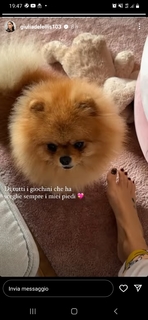 Giulia De Lellis feet photo thumbnail