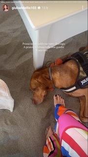 Giulia De Lellis feet photo thumbnail