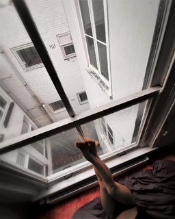 Giulia Michelini feet photo thumbnail