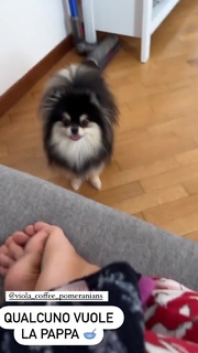Giulia Penna feet photo thumbnail