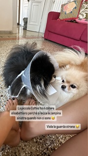 Giulia Penna feet photo thumbnail