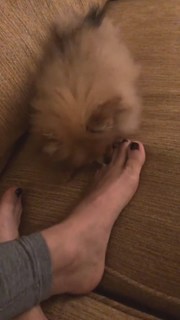 Giulia Salemi feet photo thumbnail