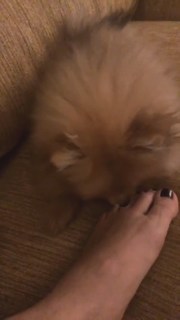 Giulia Salemi feet photo thumbnail