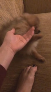 Giulia Salemi feet photo thumbnail