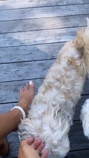 Gizele Oliveira feet photo 14