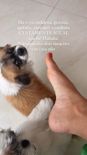 Gizelly Bicalho feet photo 3