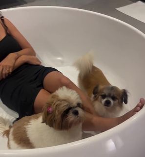 Gizelly Bicalho feet photo 10