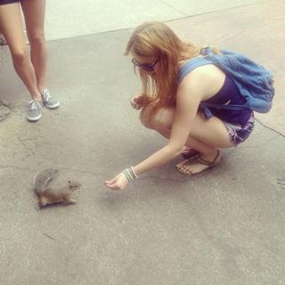 Gizem Karaca feet photo thumbnail