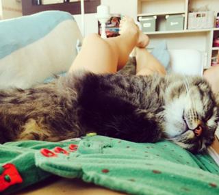 Goca Trzan feet photo thumbnail