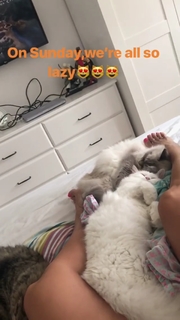 Goca Trzan feet photo thumbnail