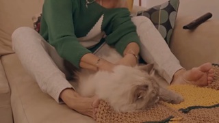 Goca Trzan feet photo thumbnail