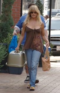 Goldie Hawn feet photo thumbnail