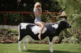 Goldie Hawn feet photo thumbnail