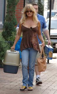Goldie Hawn feet photo thumbnail