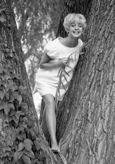 Goldie Hawn feet photo thumbnail