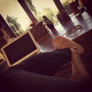 Goldie Taylor feet photo 10